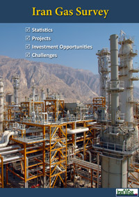 Iran Gas Survey 2013